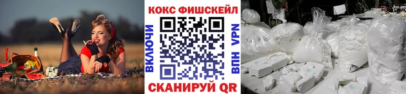 Купить  Электроугли  Cocaine FishScale 