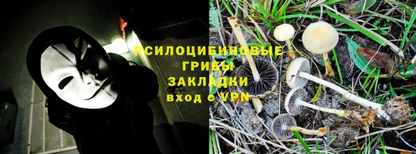 трава Иннополис