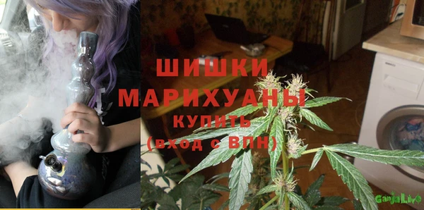 дмт Каменногорск