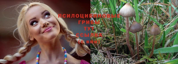 mix Инта