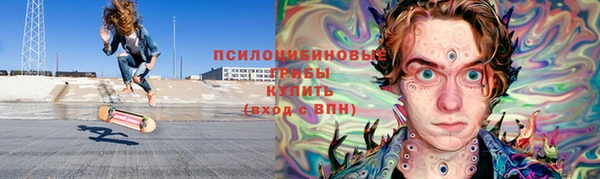 дмт Каменногорск
